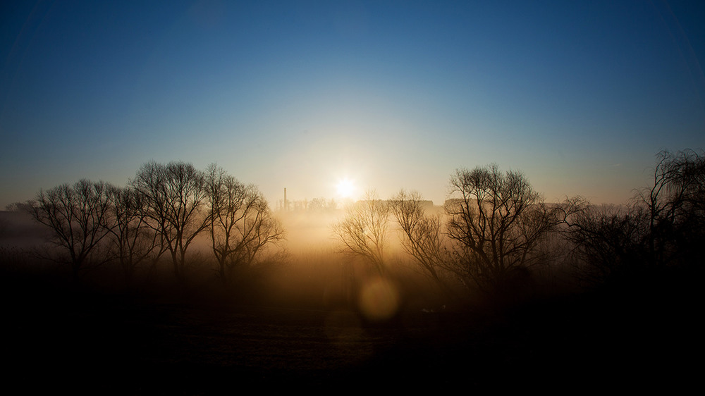 Фотографія Утро в тумане / Юлия Падалко / photographers.ua