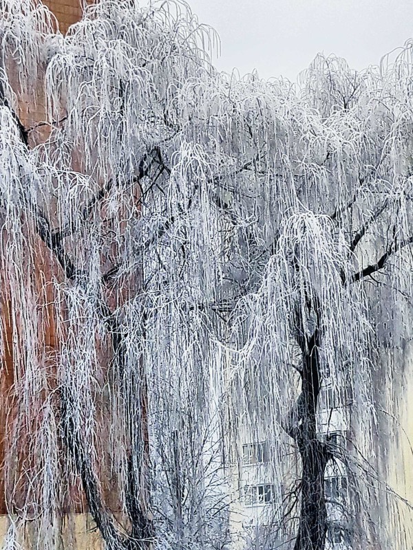 Фотографія Замёрзший водопад / Игорь Лотыш / photographers.ua