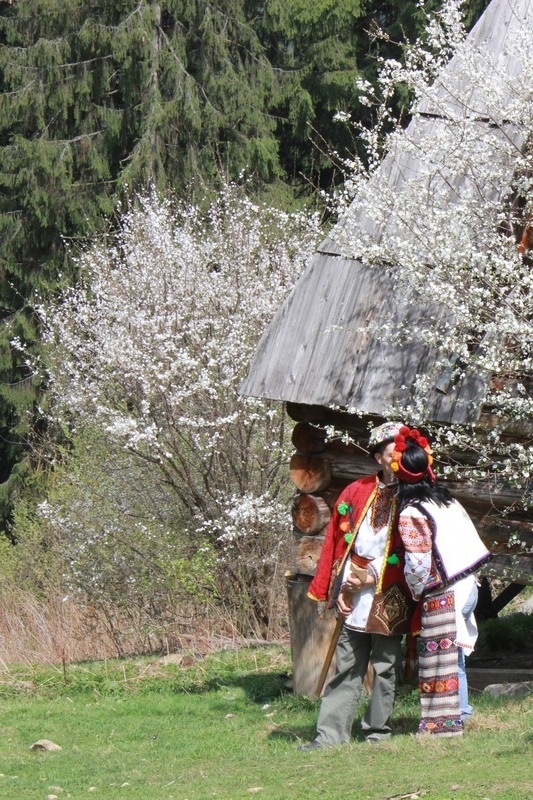 Фотографія В садку гуляла... / Игорь Лотыш / photographers.ua