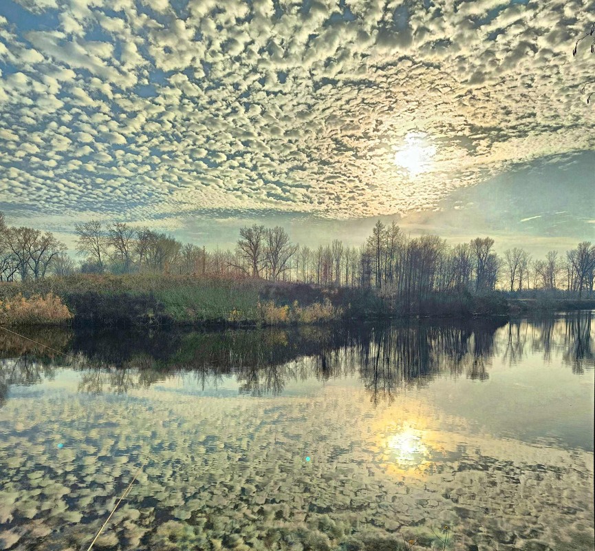 Фотографія *** / Игорь Лотыш / photographers.ua