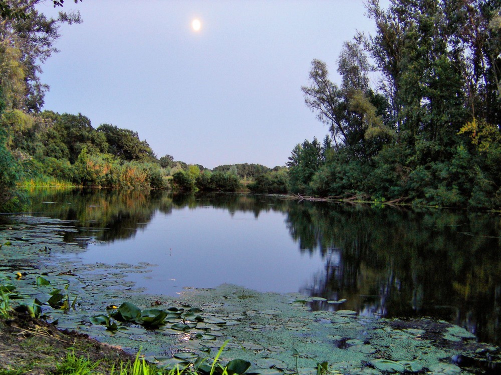 Фотографія р.Ворскла / Игорь Лотыш / photographers.ua