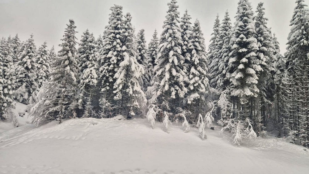 Фотографія Пейзаж / Игорь Лотыш / photographers.ua