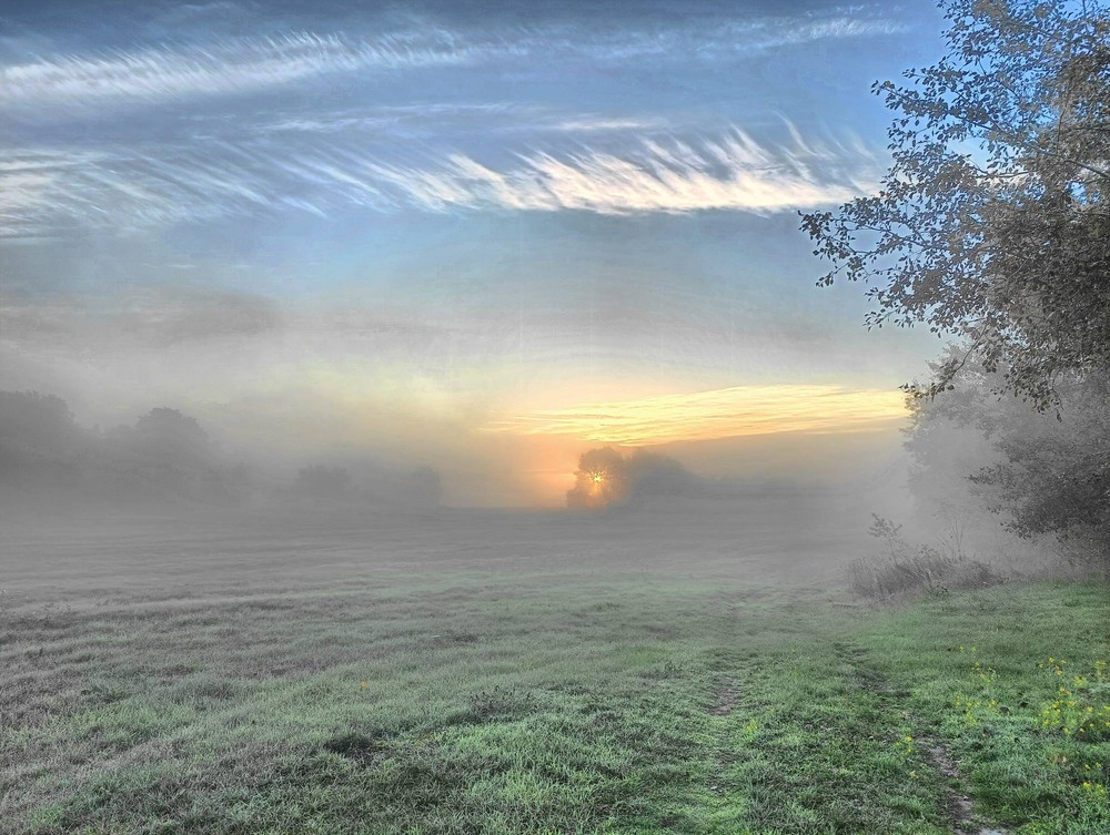 Фотографія Перший заморозок / Игорь Лотыш / photographers.ua