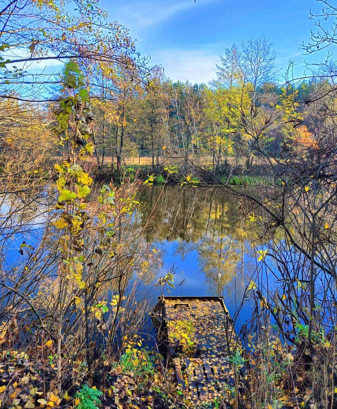 Фотографія Чудовий день / Игорь Лотыш / photographers.ua