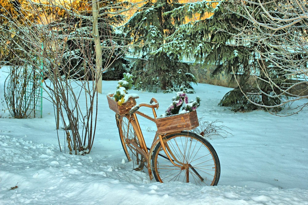 Фотографія Зачекався / Игорь Лотыш / photographers.ua