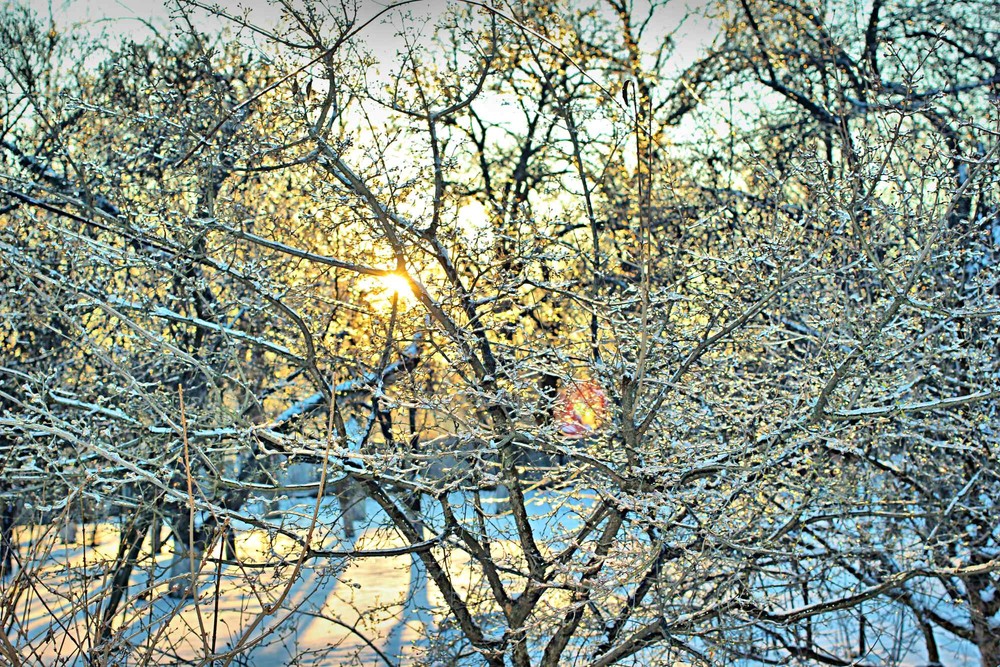 Фотографія Скляний ранок / Игорь Лотыш / photographers.ua