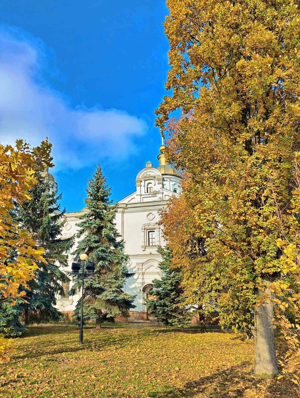 Фотографія Золото осені / Игорь Лотыш / photographers.ua