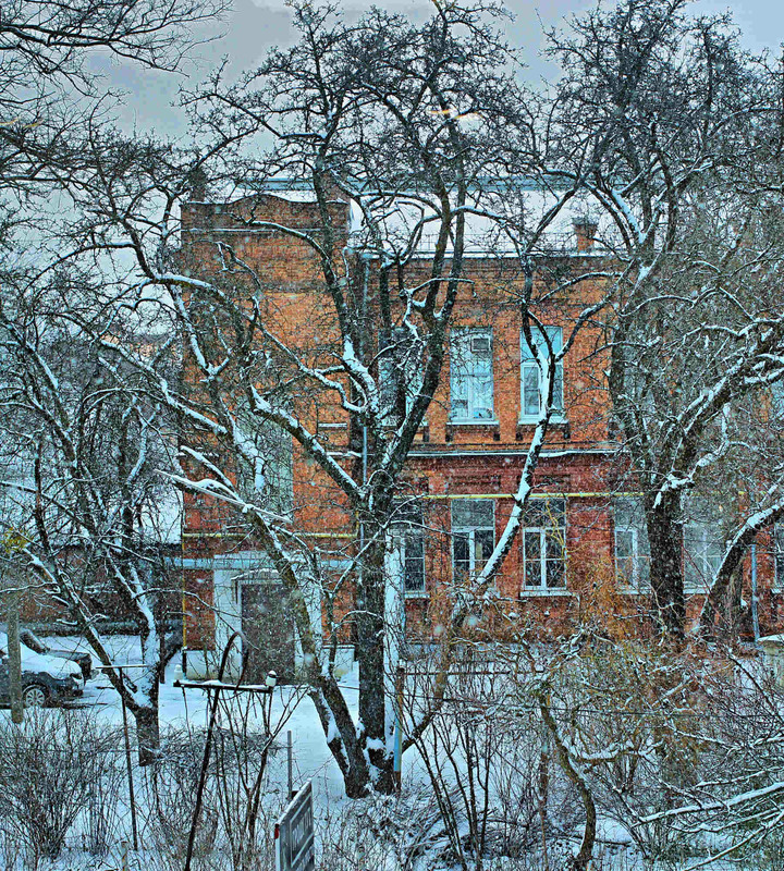 Фотографія Зима надворі / Игорь Лотыш / photographers.ua