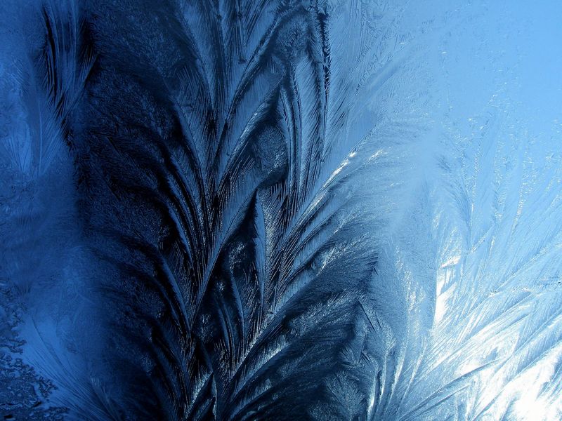 Фотографія Frosty pattern / Олег Шендерюк / photographers.ua