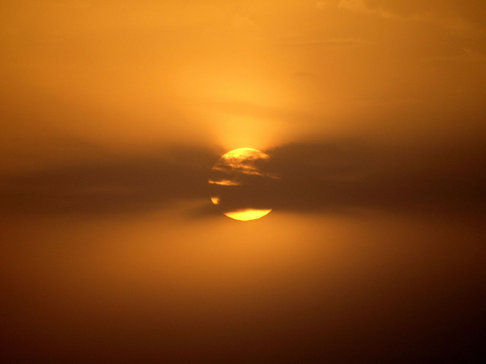 Фотографія Майже затемнення Сонця / Олег Шендерюк / photographers.ua