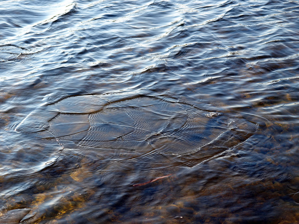 Фотографія Водяний візерунок / Олег Шендерюк / photographers.ua