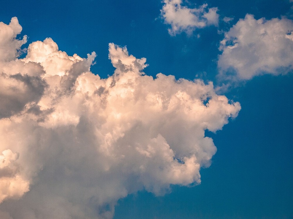 Фотографія Shark in the sky / Олег Шендерюк / photographers.ua