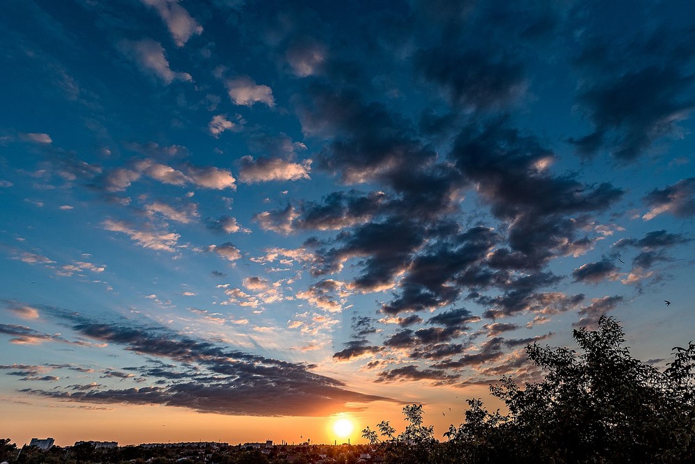 Фотографія Sunset / Олег Шендерюк / photographers.ua