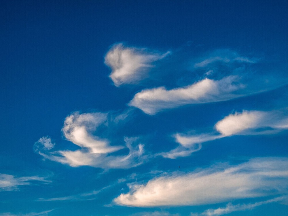 Фотографія Фантоми / Олег Шендерюк / photographers.ua