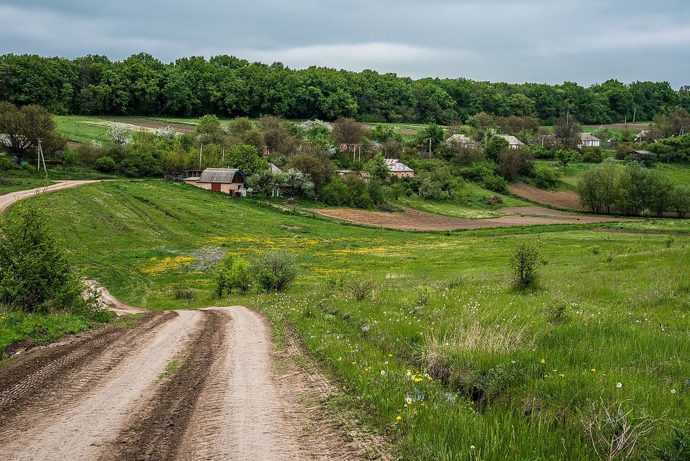 Фотографія Rural landscape / Олег Шендерюк / photographers.ua