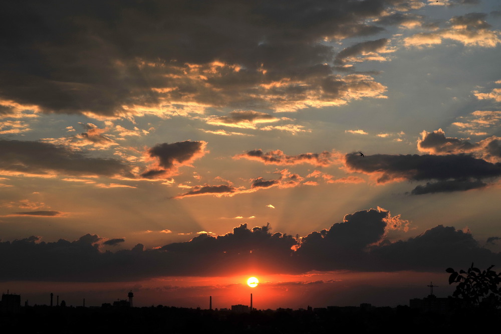 Фотографія Red sunset / Олег Шендерюк / photographers.ua