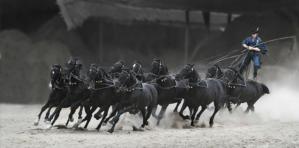 Фотографія Эй,вы кони, кони звери... / Olegs Patrejevs / photographers.ua