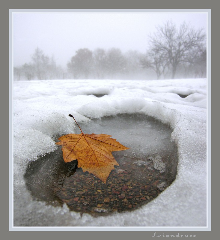 Фотографія Лики зимы / Игорь Свирид / photographers.ua