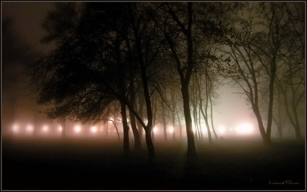 Фотографія Light in the night... / Игорь Свирид / photographers.ua