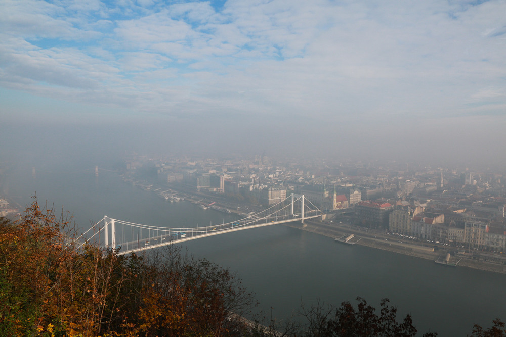 Фотографія Туманный день на Дунае #2 / Ксения / photographers.ua