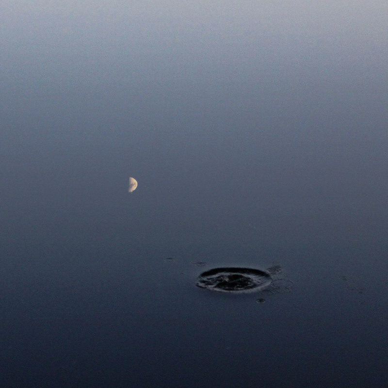 Фотографія Луна вынырнула / MariiaMagoly / photographers.ua