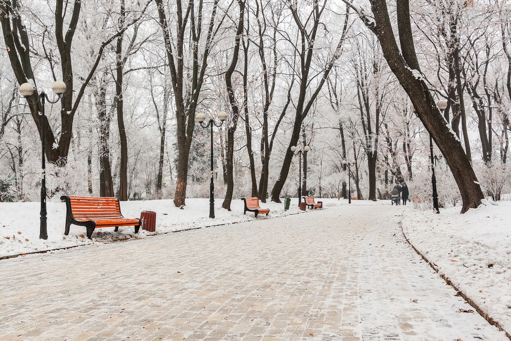 Фотографія Зимние зарисовки. Часть № 2 / Ruslan Minakryn / photographers.ua