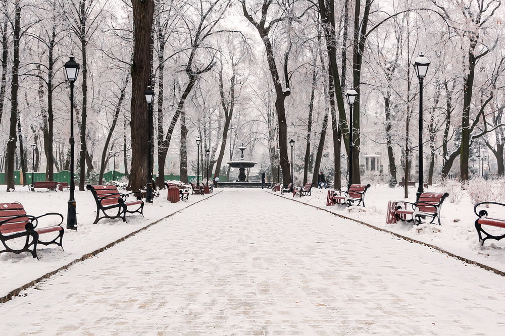 Фотографія Зимние зарисовки. Часть № 3 / Ruslan Minakryn / photographers.ua