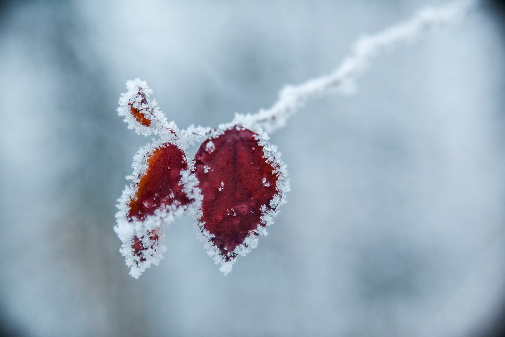 Фотографія Ожерелье "Кристаллы с небес". Часть № 6 / Ruslan Minakryn / photographers.ua