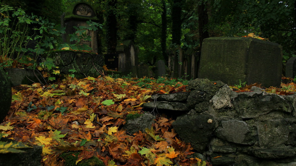 Фотографія Старое кладбище.. / Валерий Бараш / photographers.ua