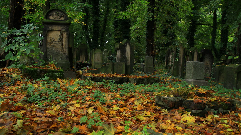 Фотографія Старое кладбище / Валерий Бараш / photographers.ua