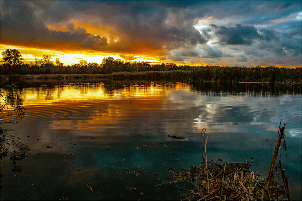 Фотографія Вечір / Дмитро Швачко / photographers.ua