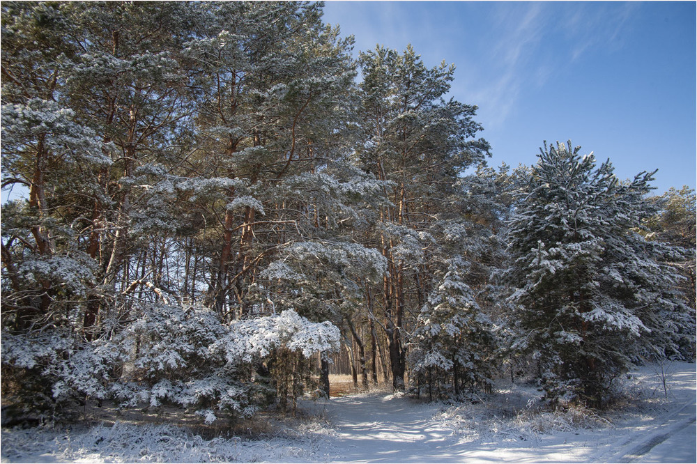 Фотографія Витрушує останні запаси / Дмитро Швачко / photographers.ua