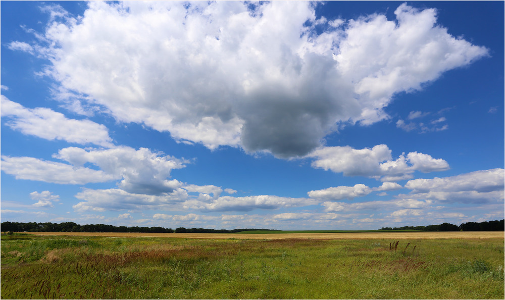 Фотографія Пропливають білі хмари над полями і лугами / Дмитро Швачко / photographers.ua