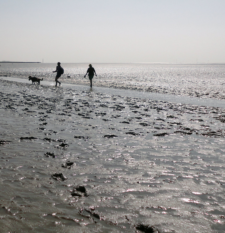 Фотографія По дну Северного моря. / Aleksandra / photographers.ua