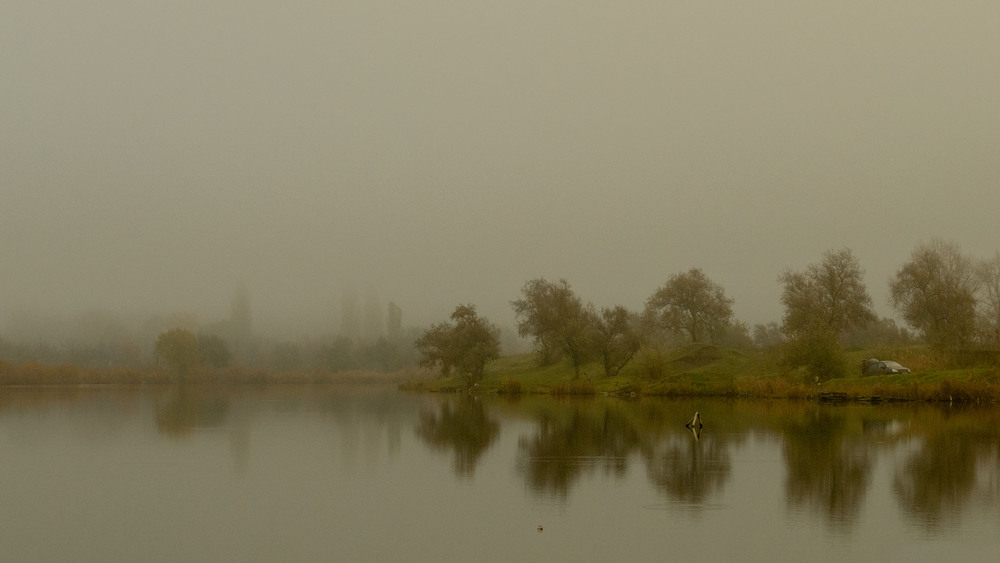 Фотографія *** / Ирина Боженова / photographers.ua
