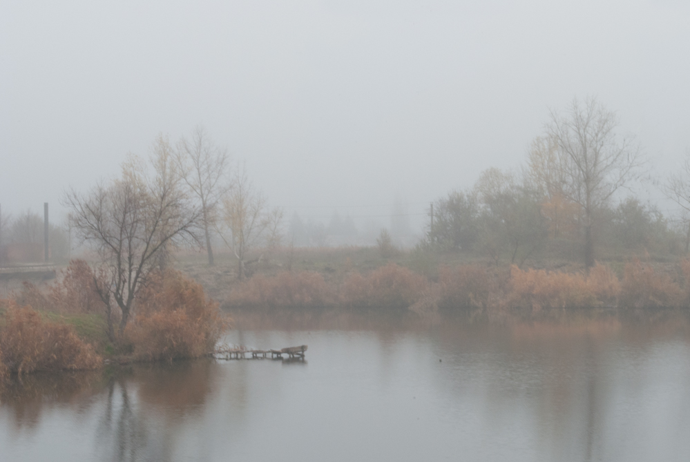 Фотографія *** / Ирина Боженова / photographers.ua