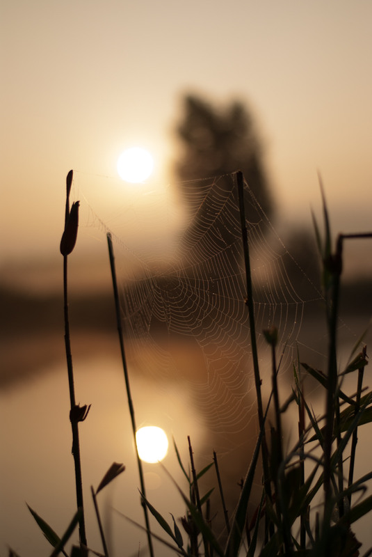 Фотографія Пейзаж / Ирина Боженова / photographers.ua