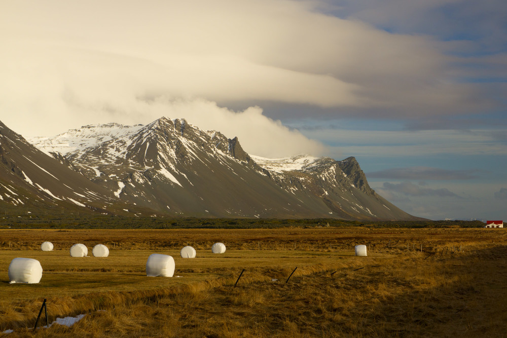 Фотографія Iceland. Fields. / Леонид Шрайбман / photographers.ua