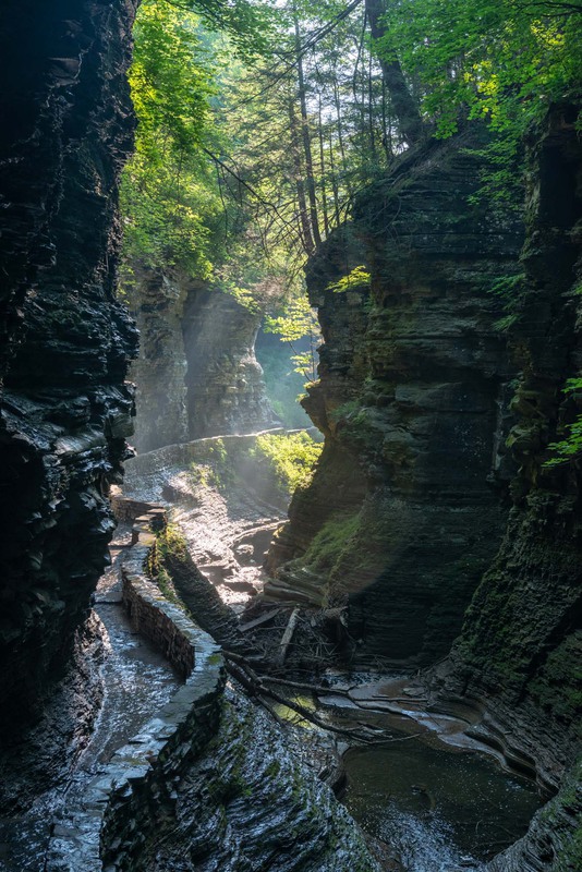 Фотографія Watkins Glen. Light breaks into gorge / Леонид Шрайбман / photographers.ua