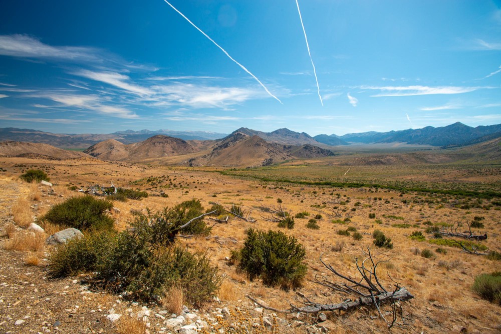 Фотографія Mojave Desert / Леонид Шрайбман / photographers.ua