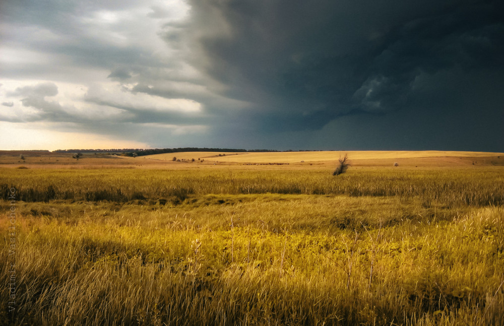 Фотографія Хутор. Гроза. / vladimir vasilchenko / photographers.ua