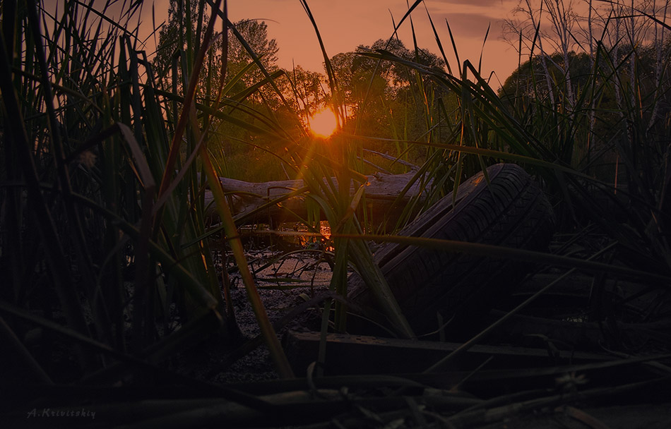 Фотографія Warm autumn evening by the lake. (Теплый, осенний вечер у озера.) / Александр Кривицкий / photographers.ua