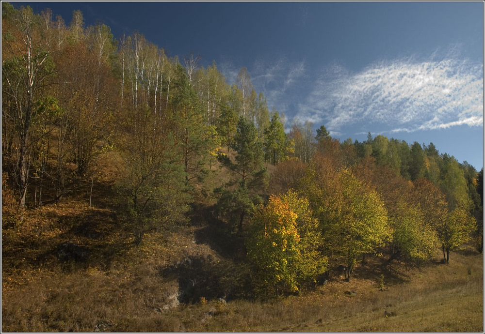 Фотографія А небо осенью синее с проседью / Валентин Петухов / photographers.ua