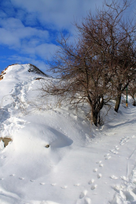 Фотографія Зимний пейзаж... / Александр / photographers.ua