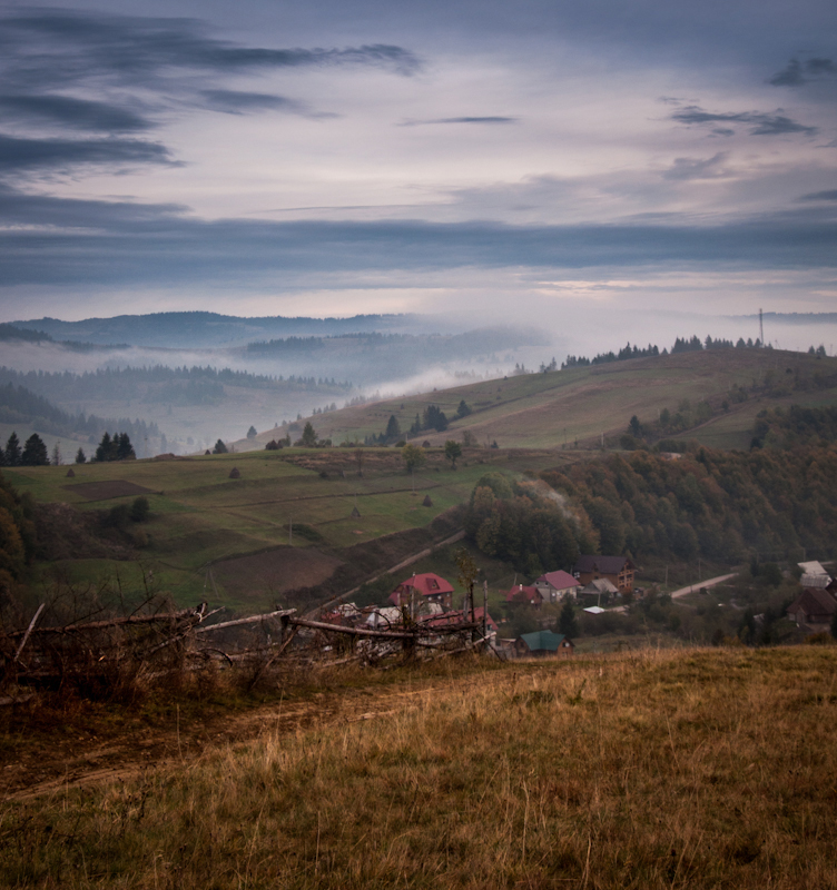 Фотографія Ранковий подих / julia / photographers.ua