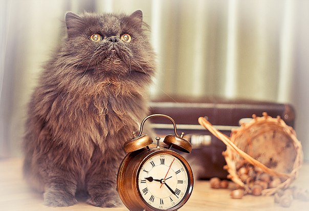 Фотографія http://vk.com/l.grebenik / igor grebenik / photographers.ua