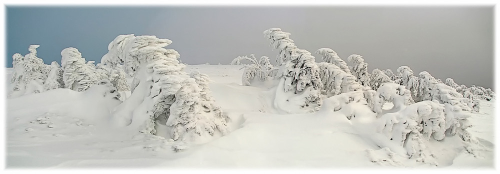 Фотографія після снігової бурі / Руслан Романюк / photographers.ua