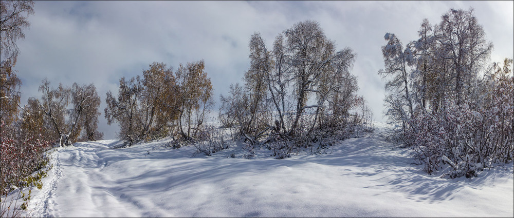 Фотографія Зимний пейзаж / Елена Кравчишин / photographers.ua