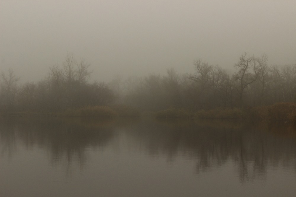 Фотографія *** / GAYDZIN / photographers.ua