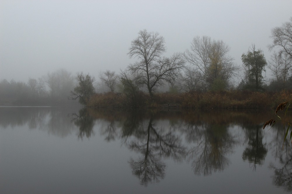 Фотографія *** / GAYDZIN / photographers.ua